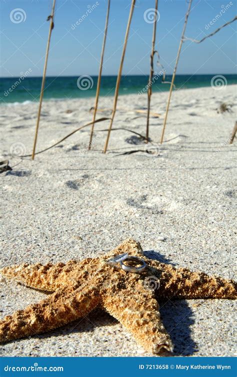 Wedding Rings On Starfish Stock Photo Image Of Marriage 7213658