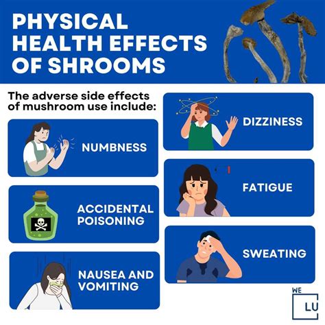 Psilocybin Mushrooms Drug. Magic Mushrooms Effects & Risks.