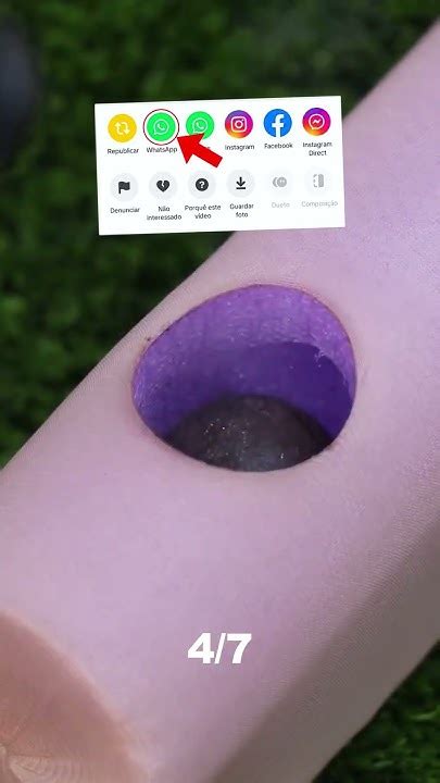 FATOS CURIOSOS pt260 - YouTube 