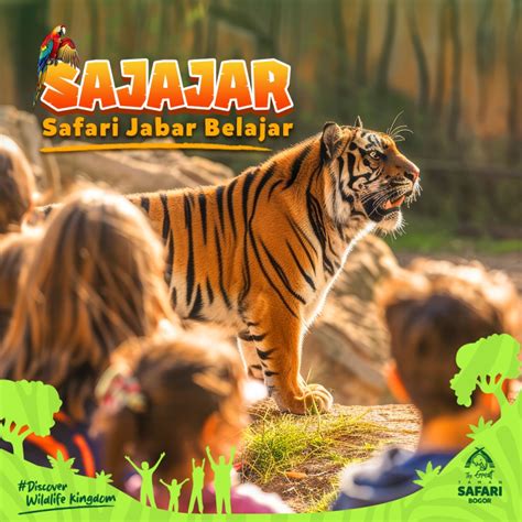 Promo Sajajar Hingga November Masuk Taman Safari Bogor Hanya