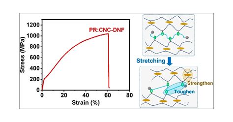 Biomimetic Ultratough Strong And Ductile Artificial Polymer Fiber