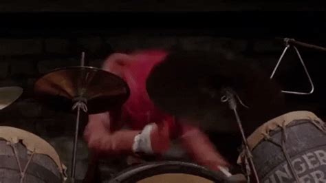 Animal-drums GIFs - Get the best GIF on GIPHY