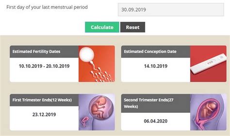 Pregnancy Calculators for WordPress - WP Solver