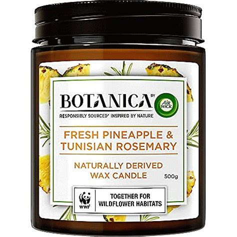 Botanica By Air Wick Pineapple Tunisian Rosemary Naturally Derived