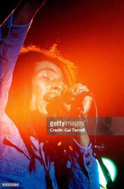 Bob Marley 1978 Photos and Premium High Res Pictures - Getty Images