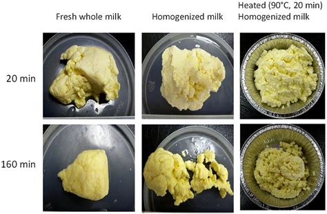 frontiers composition structure  digestive dynamics  milk