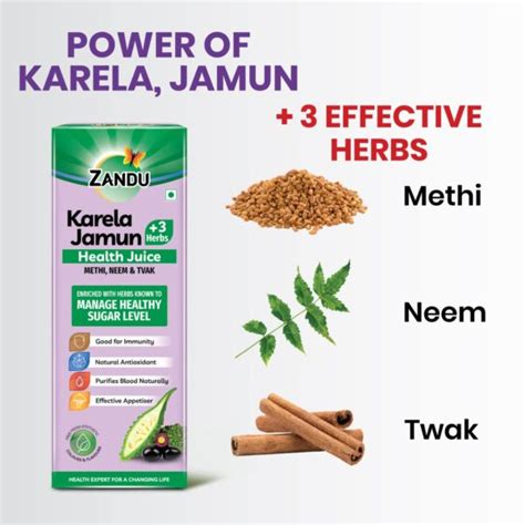 Zandu Karela Jamun Juice L Controls Blood Sugar Diabetes Care With