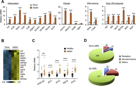 Effects Of Nash On Hepatic Gene Expression A Qpcr Analysis Of Gene