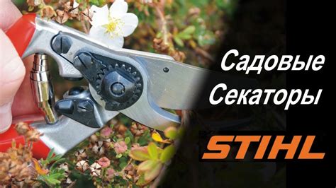 Чем отличается хороший садовый секатор от плохого? - YouTube