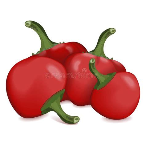 Pimento Stock Illustrations 306 Pimento Stock Illustrations Vectors