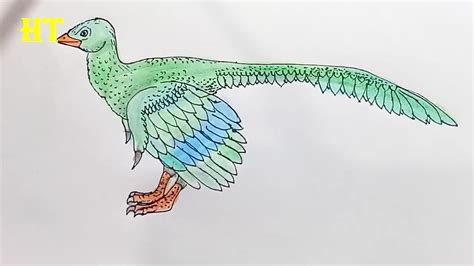 Dinosaur Drawing And Coloring How To Draw Archaeopteryx