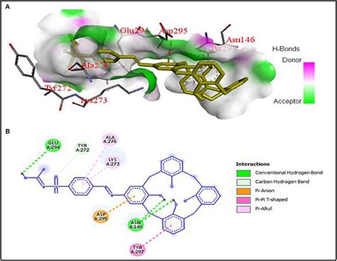 Frontiers Synthesis In Vitro And In Silico Studies Of Azo Based