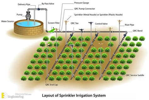 Flood Irrigation Diagram