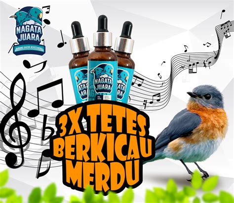 Vitamin Burung Nagata Juara Vitamin Penggacor Burung Digantangan