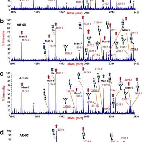 Serum N Glycosylation Analysis Of Alg2 Cdg Patients High Mass Range