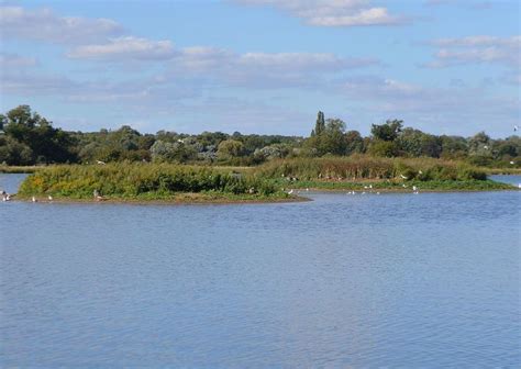 Godmanchester Nature Reserve - Alchetron, the free social encyclopedia