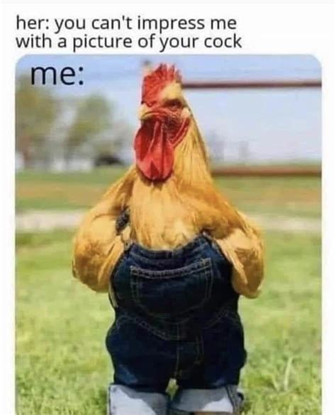 Roosters : r/memeconvention