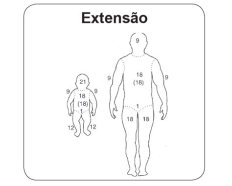 LiTRE UFF ATUALIZAÇÃO NA ABORDAGEM DE PACIENTES VÍTIMAS DE QUEIMADURAS