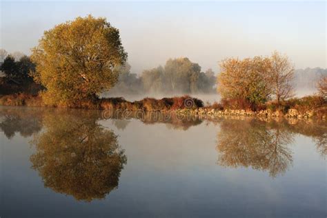 Autumn Tree Reflection In Water Stock Photo Image Of Mist Beauty