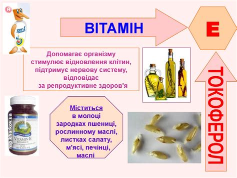 Вітаміни - презентация онлайн