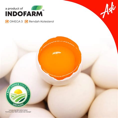 jual indofarm telur ayam kampung asli omega bundling  box shopee