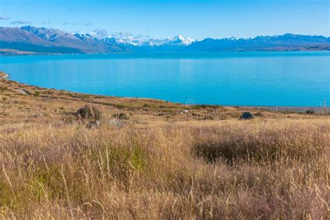 Aoraki / Mt. Cook Viewed Behind Lake Pukaki in New Zealand Stock Photo ...