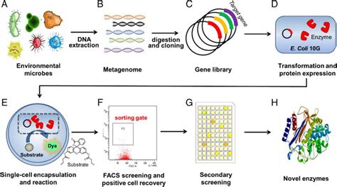 Workflow Of The Ultrahigh Throughput Screening Platform Based On Flow