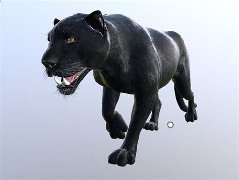 3D Model Panther Lowpoly Animation VR AR Low Poly Rigged Animated