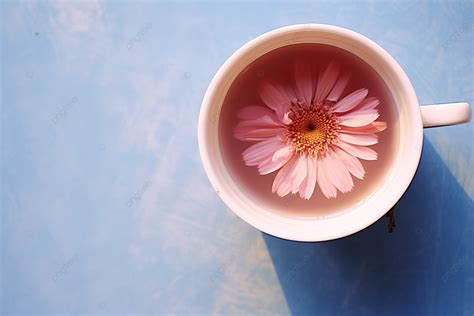 Fundo Uma Xícara De Chá Uma Flor Rosa Dentro Fundo Crisântemo Chá