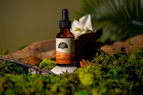 Functional Mushroom Tinctures Kozmic Mushrooms