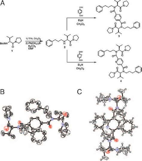 Figure 1 From MyD88 Dependent And Independent Signaling By IL 1 In