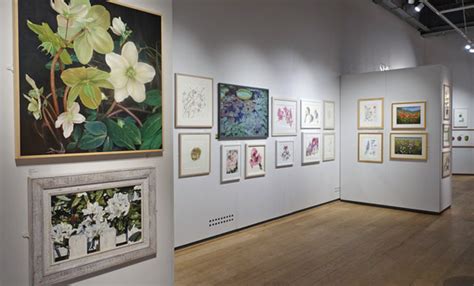 Review Society Of Botanical Artists 2019 Plantae Botanical Art