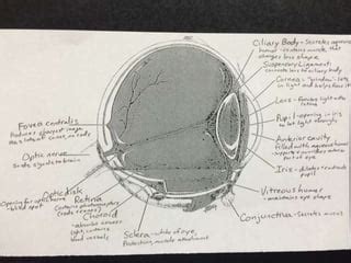 Eye diagram | PPT