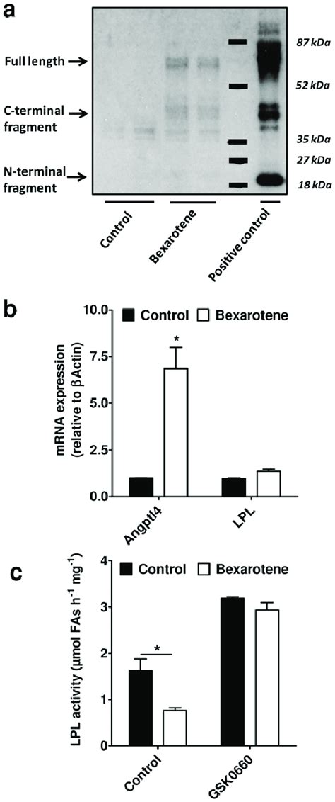 Regulation Of Angptl Expression And Lpl Activity By Bexarotene In