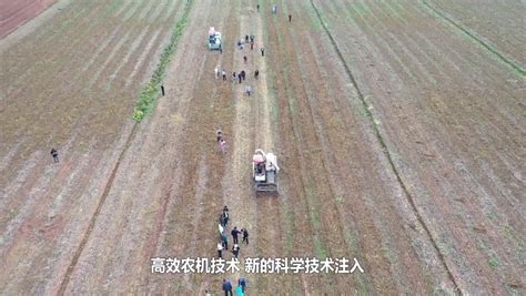 守住耕地红线，端牢中国饭碗，维护粮食安全必须全方位推进 Isenlincn