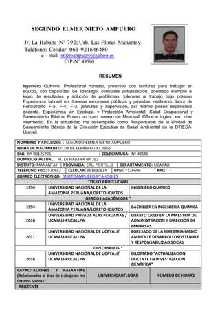 Formato Cv Nieto Pdf