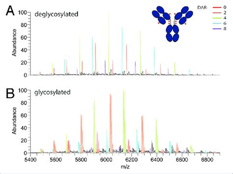 Analysis Of The Antibody Drug Conjugate Brentuximab Vedotin Adcetris