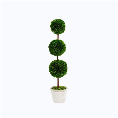 La Maison Store Preserved Boxwood Triple Ball Topiary