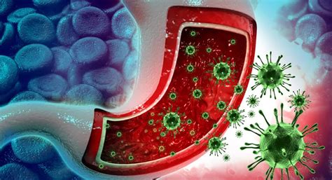 Infección por norovirus qué es consecuencias y vías de contagio