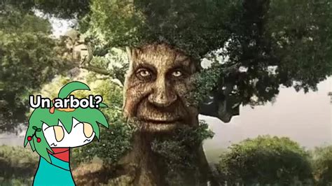 Quien es wise mystical tree origen del meme en español para