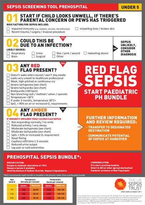 Understanding Sepsis — REAL First Aid — REAL First Aid