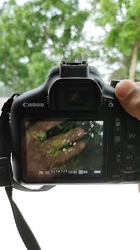 Canon1500d Photography 🔥🔥🔥🔥🔥🔥😉 Canon1500d Photography Canonphotography Canonm50 Youtube