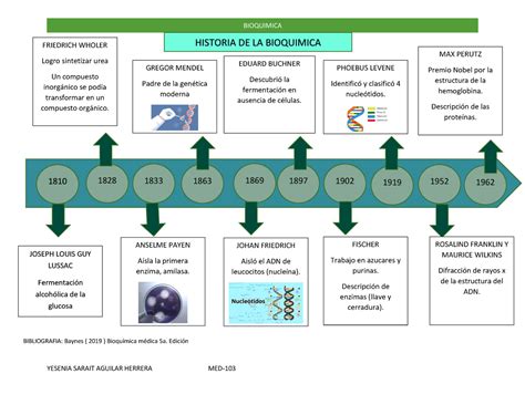 Linea Del Tiempo Tarea Bioquimica Studocu The Best Porn Website