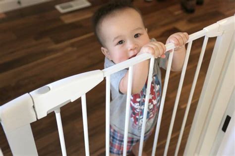 Best Retractable Baby Gates of 22023 - Little Discoverer