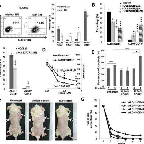 ALDH Hi CD44 Hi Lung Cancer Cells Showed In Vitro TIC Characteristics