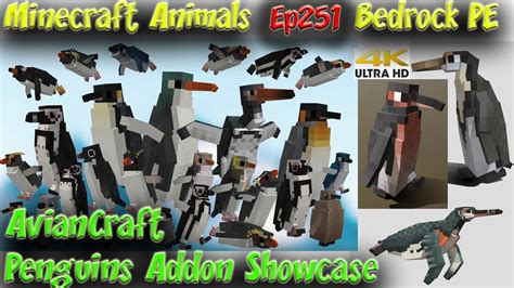 Aviancraft Addon Penguins Addon Updated Showcase Minecraft Bedrock Pe