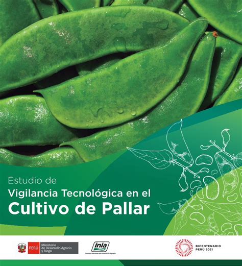 PDF Estudio de Vigilancia Tecnológica en el Cultivo de Pallar