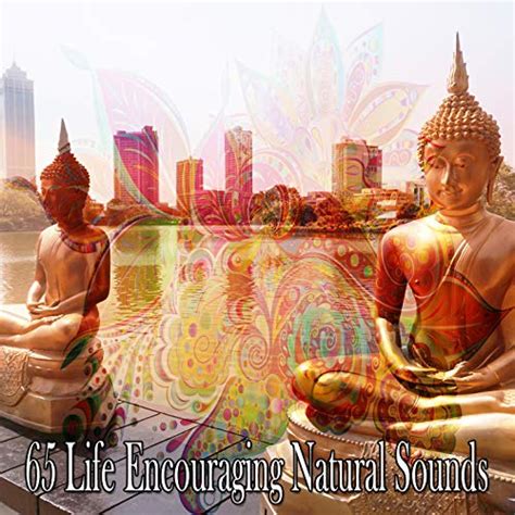 65 Life Encouraging Natural Sounds By Entspannungsmusik On Amazon Music