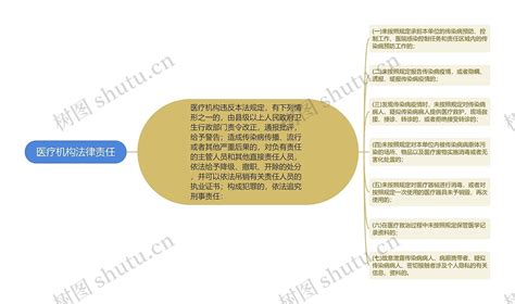 医疗机构法律责任思维导图编号p8769149 Treemind树图