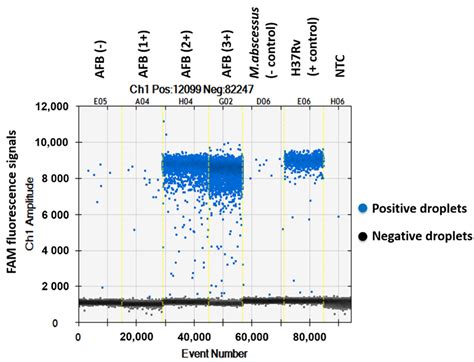 Pathogens Free Full Text Detection Of Mycobacterium Tuberculosis